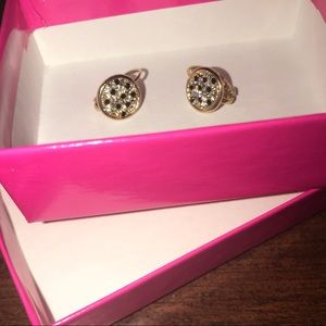 Beautiful euro-wire earring